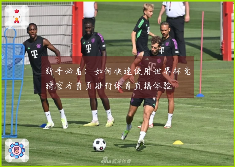 新手必看：如何快速使用世界杯竞猜官方首页进行体育直播体验