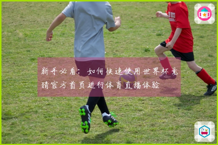 新手必看：如何快速使用世界杯竞猜官方首页进行体育直播体验