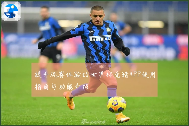 提升观赛体验的世界杯竞猜APP使用指南与功能介绍