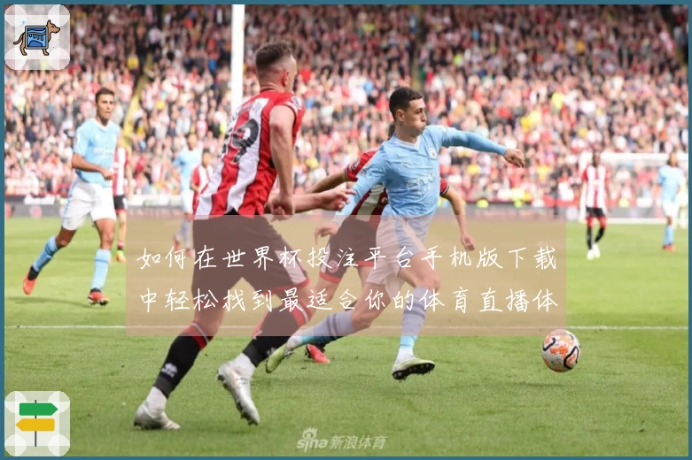 如何在世界杯投注平台手机版下载中轻松找到最适合你的体育直播体验