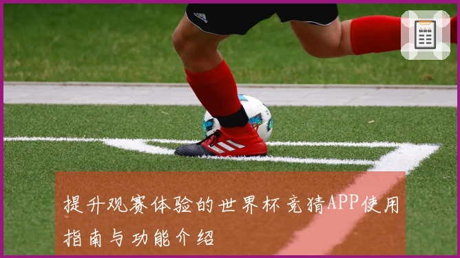 提升观赛体验的世界杯竞猜APP使用指南与功能介绍