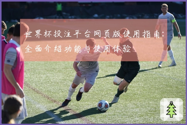 世界杯投注平台网页版使用指南：全面介绍功能与使用体验
